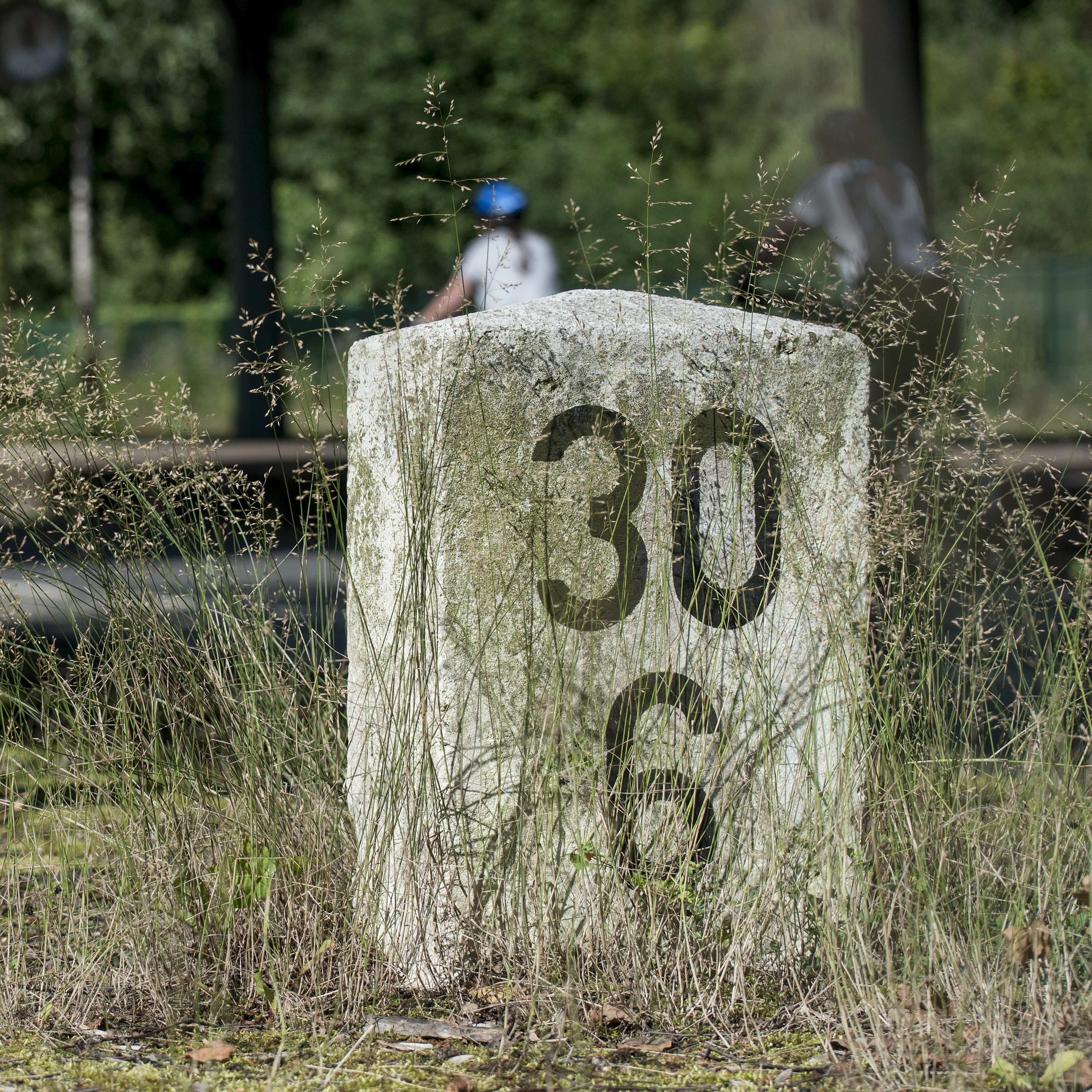 4711 WTL Garten Bahnhof Loh_KA70519-1 Kopie.jpg - .